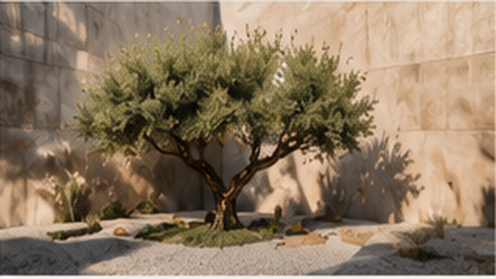 Courtyard garden
